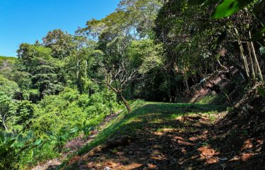 BEAUTIFUL OCEAN VIEW WINDOW – 2.7 ACRES