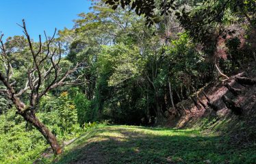 BEAUTIFUL OCEAN VIEW WINDOW – 2.7 ACRES