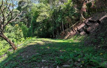 BEAUTIFUL OCEAN VIEW WINDOW – 2.7 ACRES