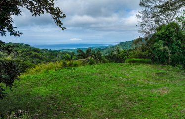 OCEAN VIEW LOT IN GATED COMMUNITY FOR SALE – 3.6 ACRES