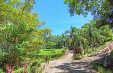 OCEAN VIEW BUILDING SITE NEAR DOMINICAL BEACH – 3.45 ACRES