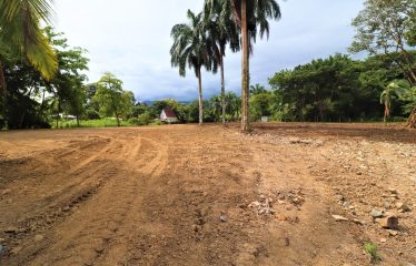 LOCATION, LOCATION! WALKING DISTANCE TO THE BEACH, COMMERCIAL AND RESIDENCIAL LOT FOR SALE