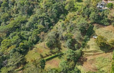 4 BEDROOM HOUSE WITH OCEAN AND JUNGLE VIEWS