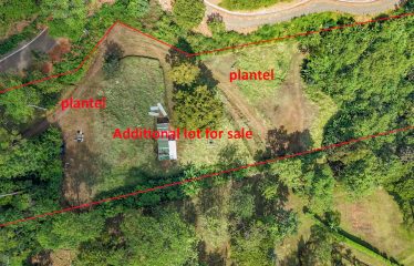 4 BEDROOM HOUSE WITH OCEAN AND JUNGLE VIEWS