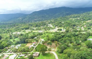 LOCATION, LOCATION! WALKING DISTANCE TO THE BEACH, COMMERCIAL AND RESIDENCIAL LOT FOR SALE