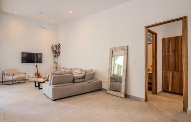 4 BEDROOM HOUSE WITH OCEAN AND JUNGLE VIEWS