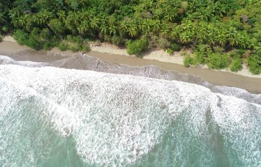 LOCATION, LOCATION! WALKING DISTANCE TO THE BEACH, COMMERCIAL AND RESIDENCIAL LOT FOR SALE