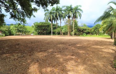 LOCATION, LOCATION! WALKING DISTANCE TO THE BEACH, COMMERCIAL AND RESIDENCIAL LOT FOR SALE
