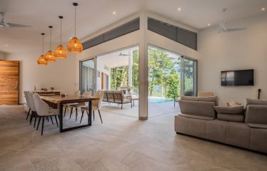 4 BEDROOM HOUSE WITH OCEAN AND JUNGLE VIEWS