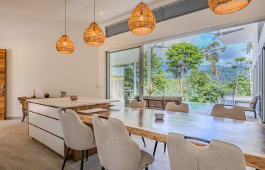 4 BEDROOM HOUSE WITH OCEAN AND JUNGLE VIEWS