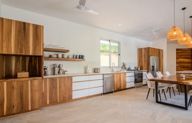 4 BEDROOM HOUSE WITH OCEAN AND JUNGLE VIEWS