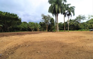 LOCATION, LOCATION! WALKING DISTANCE TO THE BEACH, COMMERCIAL AND RESIDENCIAL LOT FOR SALE