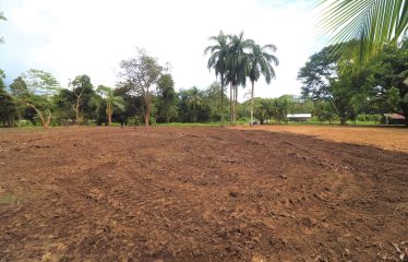 LOCATION, LOCATION! WALKING DISTANCE TO THE BEACH, COMMERCIAL AND RESIDENCIAL LOT FOR SALE