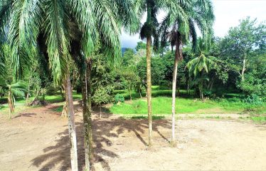 LOCATION, LOCATION! WALKING DISTANCE TO THE BEACH, COMMERCIAL AND RESIDENCIAL LOT FOR SALE