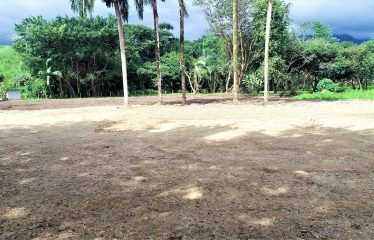 LOCATION, LOCATION! WALKING DISTANCE TO THE BEACH, COMMERCIAL AND RESIDENCIAL LOT FOR SALE