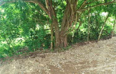 LOCATION, LOCATION! WALKING DISTANCE TO THE BEACH, COMMERCIAL AND RESIDENCIAL LOT FOR SALE