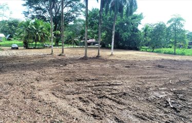 LOCATION, LOCATION! WALKING DISTANCE TO THE BEACH, COMMERCIAL AND RESIDENCIAL LOT FOR SALE