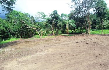 LOCATION, LOCATION! WALKING DISTANCE TO THE BEACH, COMMERCIAL AND RESIDENCIAL LOT FOR SALE