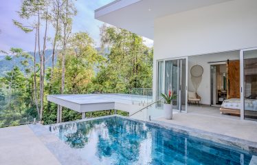 4 BEDROOM HOUSE WITH OCEAN AND JUNGLE VIEWS