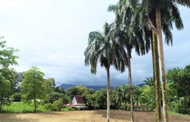 LOCATION, LOCATION! WALKING DISTANCE TO THE BEACH, COMMERCIAL AND RESIDENCIAL LOT FOR SALE