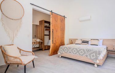 4 BEDROOM HOUSE WITH OCEAN AND JUNGLE VIEWS