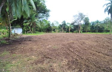 LOCATION, LOCATION! WALKING DISTANCE TO THE BEACH, COMMERCIAL AND RESIDENCIAL LOT FOR SALE