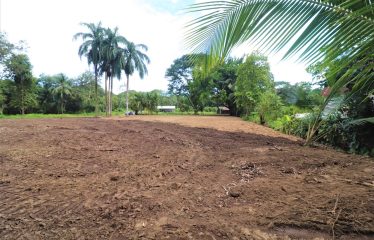 LOCATION, LOCATION! WALKING DISTANCE TO THE BEACH, COMMERCIAL AND RESIDENCIAL LOT FOR SALE