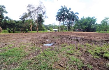 LOCATION, LOCATION! WALKING DISTANCE TO THE BEACH, COMMERCIAL AND RESIDENCIAL LOT FOR SALE