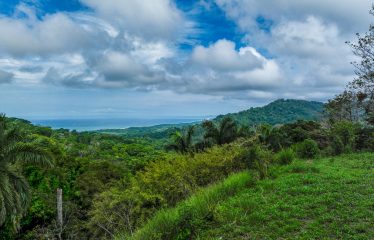 OCEAN VIEW LOT IN GATED COMMUNITY FOR SALE – 3.6 ACRES