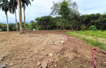 LOCATION, LOCATION! WALKING DISTANCE TO THE BEACH, COMMERCIAL AND RESIDENCIAL LOT FOR SALE