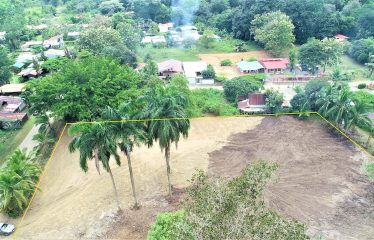 LOCATION, LOCATION! WALKING DISTANCE TO THE BEACH, COMMERCIAL AND RESIDENCIAL LOT FOR SALE