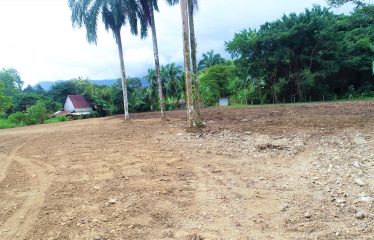 LOCATION, LOCATION! WALKING DISTANCE TO THE BEACH, COMMERCIAL AND RESIDENCIAL LOT FOR SALE