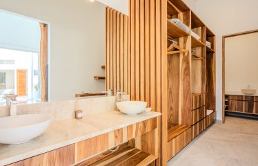 4 BEDROOM HOUSE WITH OCEAN AND JUNGLE VIEWS