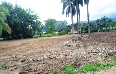 LOCATION, LOCATION! WALKING DISTANCE TO THE BEACH, COMMERCIAL AND RESIDENCIAL LOT FOR SALE