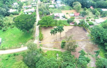LOCATION, LOCATION! WALKING DISTANCE TO THE BEACH, COMMERCIAL AND RESIDENCIAL LOT FOR SALE