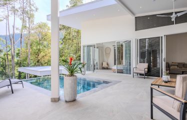 4 BEDROOM HOUSE WITH OCEAN AND JUNGLE VIEWS