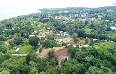 LOCATION, LOCATION! WALKING DISTANCE TO THE BEACH, COMMERCIAL AND RESIDENCIAL LOT FOR SALE