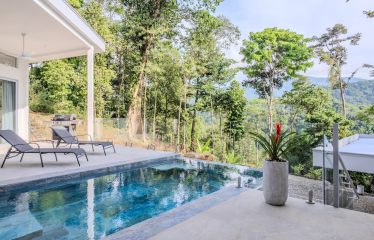 4 BEDROOM HOUSE WITH OCEAN AND JUNGLE VIEWS