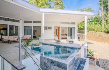 4 BEDROOM HOUSE WITH OCEAN AND JUNGLE VIEWS