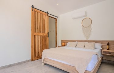 4 BEDROOM HOUSE WITH OCEAN AND JUNGLE VIEWS