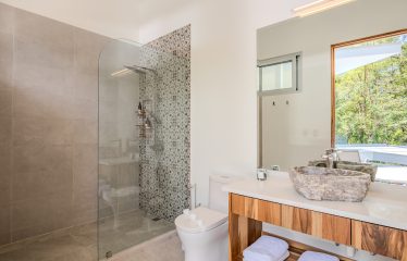 4 BEDROOM HOUSE WITH OCEAN AND JUNGLE VIEWS