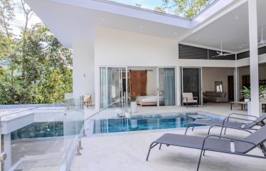 4 BEDROOM HOUSE WITH OCEAN AND JUNGLE VIEWS