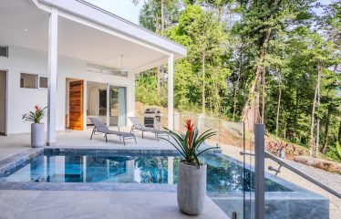 4 BEDROOM HOUSE WITH OCEAN AND JUNGLE VIEWS