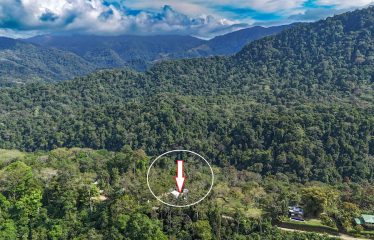 4 BEDROOM HOUSE WITH OCEAN AND JUNGLE VIEWS