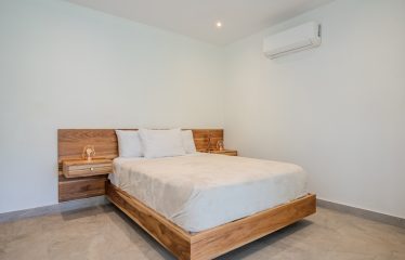 4 BEDROOM HOUSE WITH OCEAN AND JUNGLE VIEWS