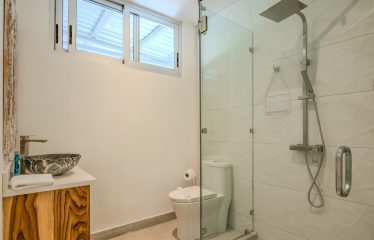 4 BEDROOM HOUSE WITH OCEAN AND JUNGLE VIEWS