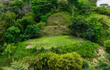 OCEAN VIEW LOT IN GATED COMMUNITY FOR SALE – 3.6 ACRES