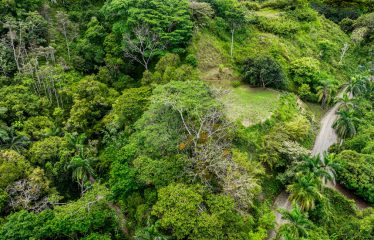 OCEAN VIEW LOT IN GATED COMMUNITY FOR SALE – 3.6 ACRES