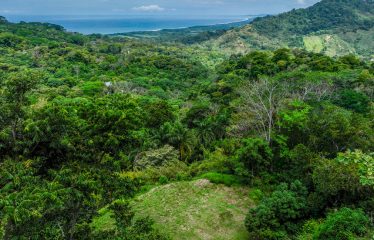 OCEAN VIEW LOT IN GATED COMMUNITY FOR SALE – 3.6 ACRES