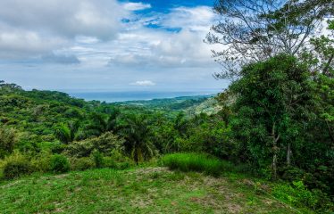 OCEAN VIEW LOT IN GATED COMMUNITY FOR SALE – 3.6 ACRES